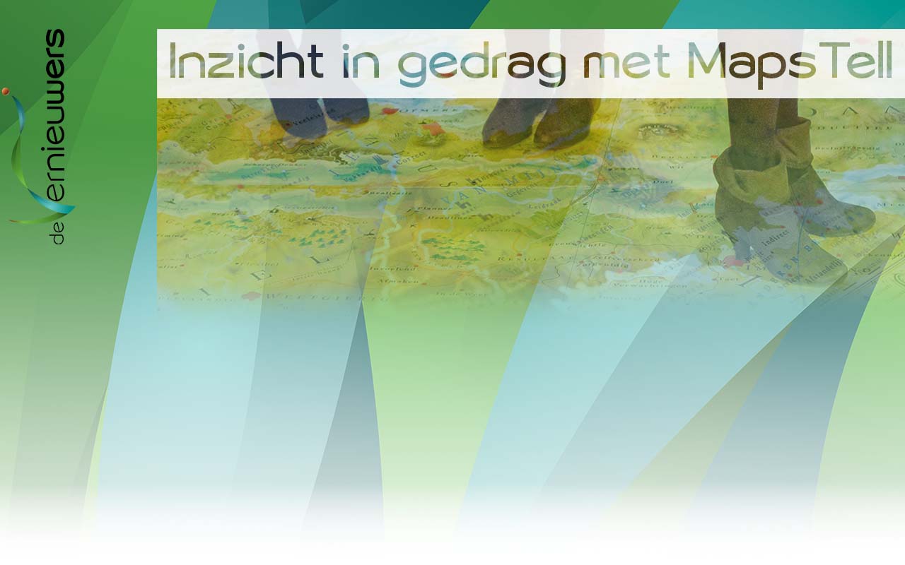 Inzicht in gedrag met MapsTell (DISC)